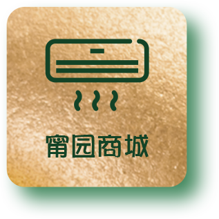 甯刚